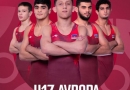 Azərbaycan güləşçiləri Avropa çempionatının finalında