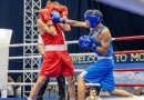 Azərbaycanın iki boksçusu yarımfinalda - Avropa çempionatı