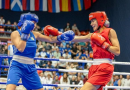 Azərbaycanın 5 boksçusu finalda - Avropa çempionatı