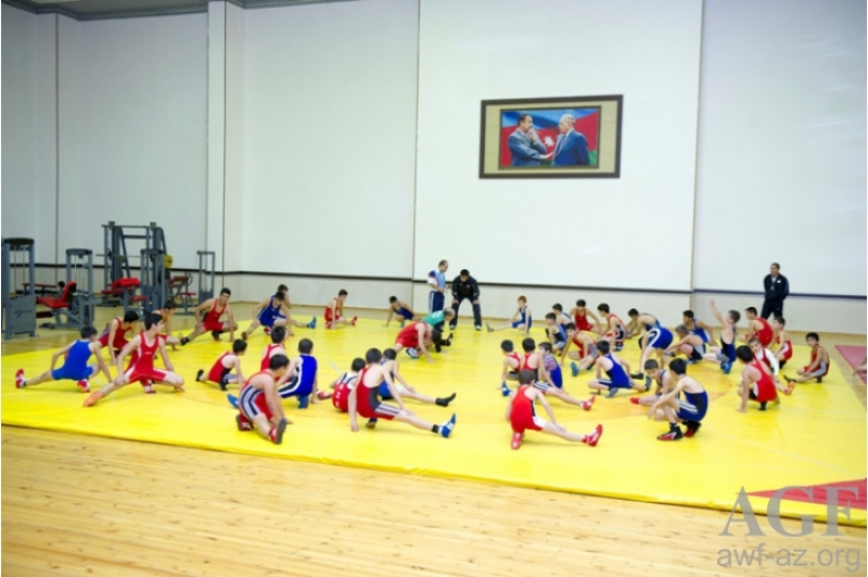 genc-ve-yeniyetme-guleshchiler-naxchivanda-toplashdilar