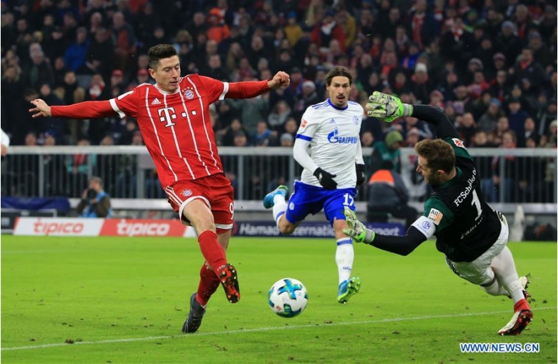 bavariya-shalkeni-xalsiz-qoydu