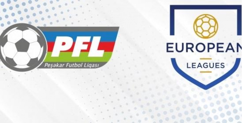 pfl-ilin-yekunlarina-dair-videokonfransda-ishtirak-etdi