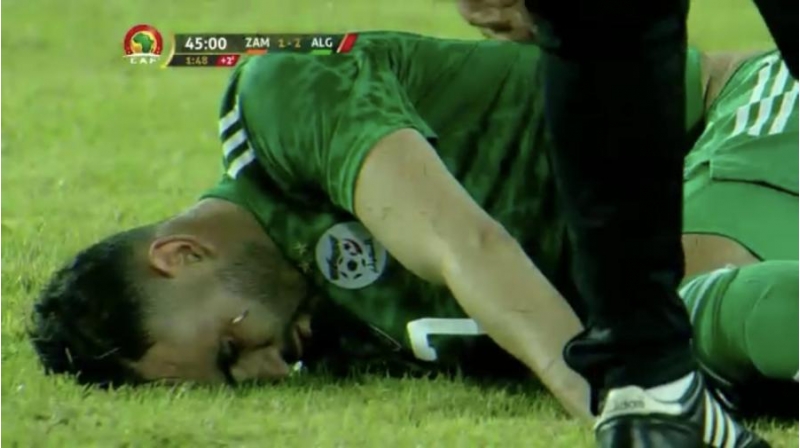 beshikatsha-bed-xebert