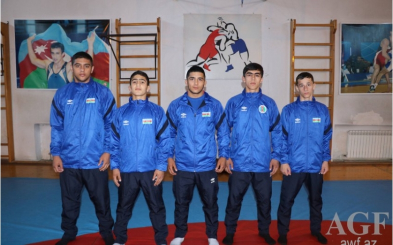 avropa-chempionati-guleshchimiz-ermeniye-qalib-gelib-yarimfinala-chixdi