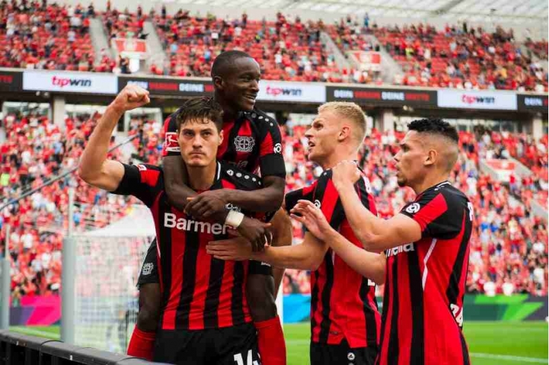 bayerden-inamli-qelebe