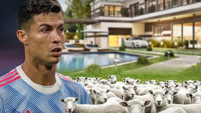 ronaldu-qoyunlara-gore-14-milyonluq-villasindan-kochdu