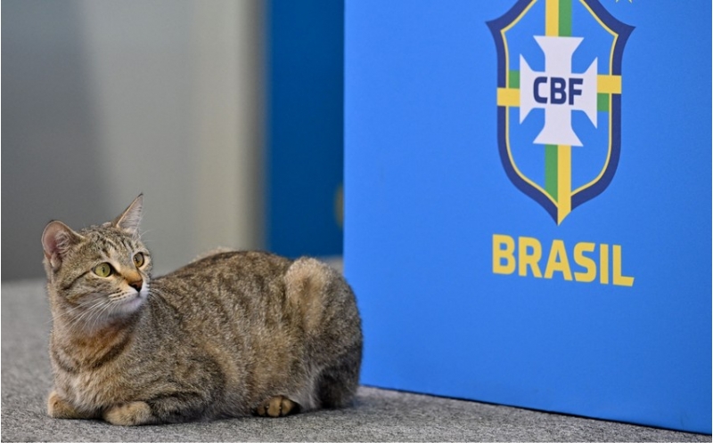braziliya-futbol-konfederasiyasi-pishiye-gore-mehkemeye-verilib