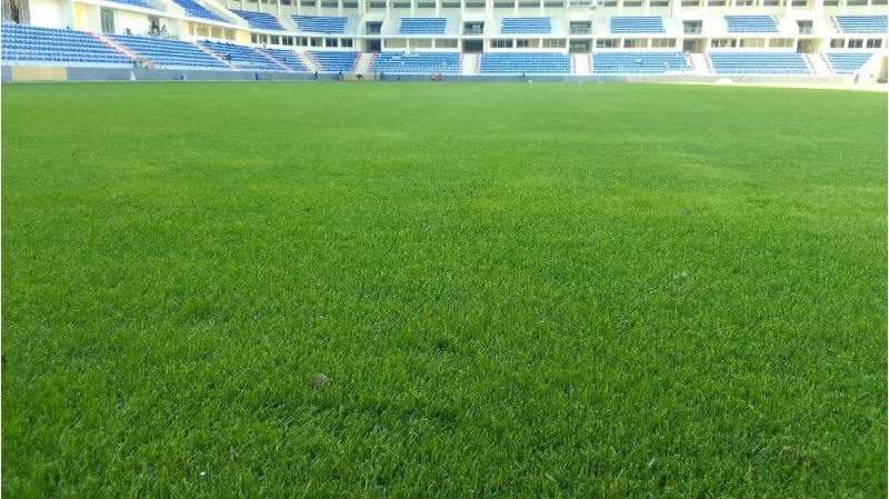 sumqayit-azarkeshlerine-shad-xeber