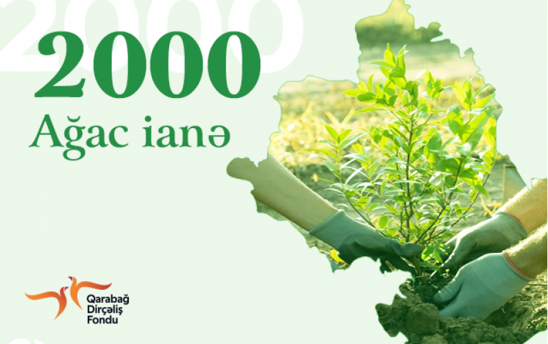 bal-line-shirketinden-xeyirxah-addim