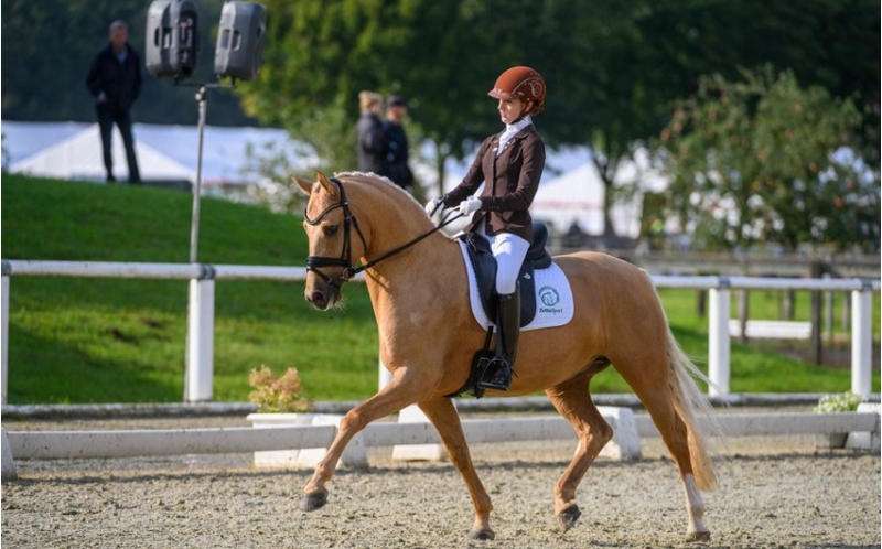 azerbaycan-idmanchisi-almaniyanin-achiq-chempionatinda-ugurlu-chixish-edib