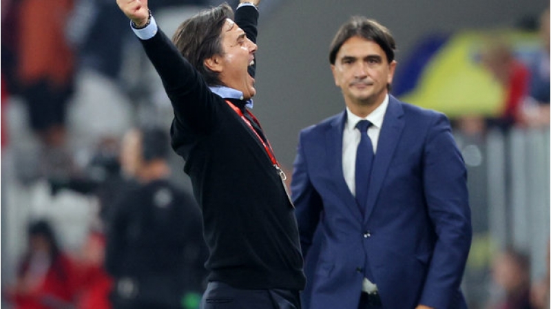 turkiyenin-bash-meshqchisinden-qelebe-sherhi