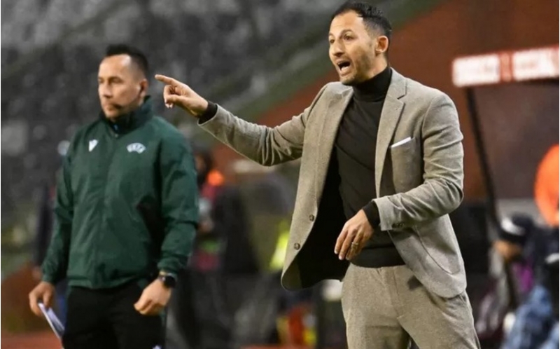 tedeskodan-qelebe-sherhi