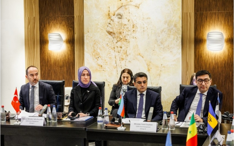 ferid-qayibov-cop9-un-buro-iclasinda-ishtirak-edib