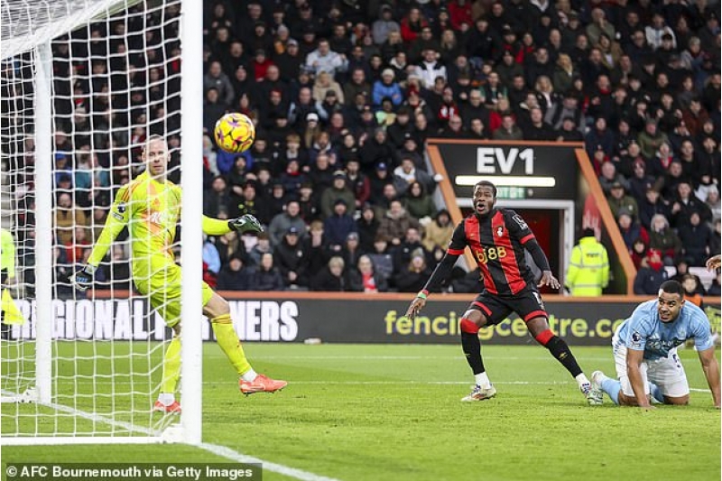 bormunt-nottingem-foresti-darmadagin-etdi