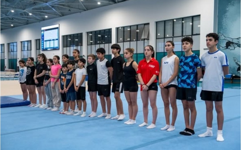 avropa-gimnastikasinin-resmisi-bakida-seminar-kechib