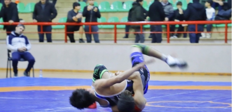 naxchivanda-serbest-gulesh-birinciliyi-basha-chatib