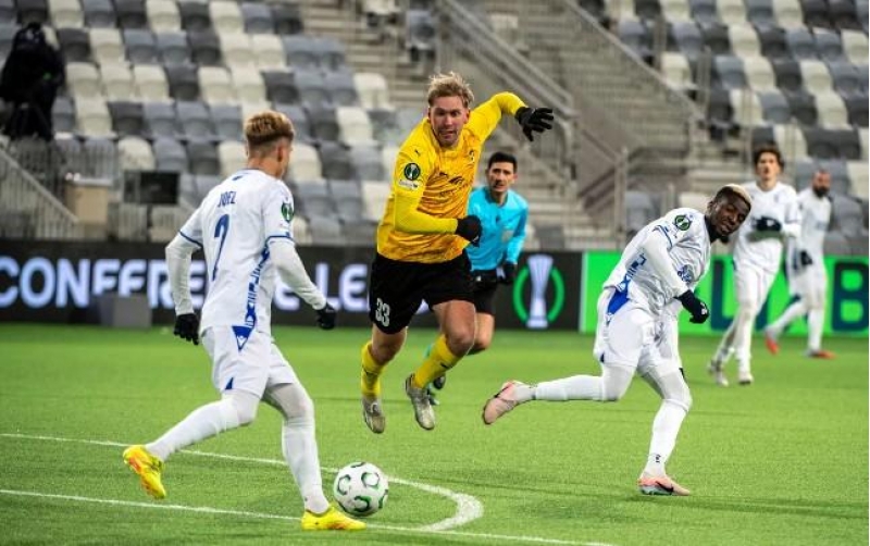 eliyar-agayevden-1-qirmizi-2-sari-vereqe