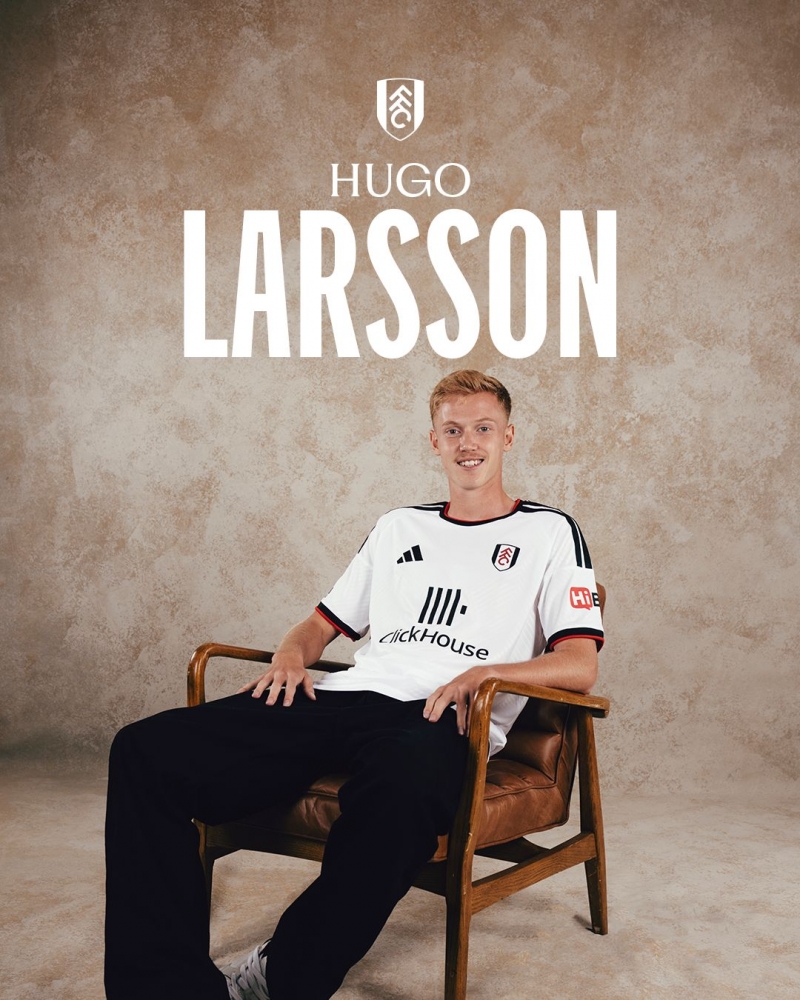 huqo-larsson-fulhemde